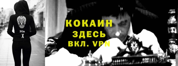 сатива Абинск