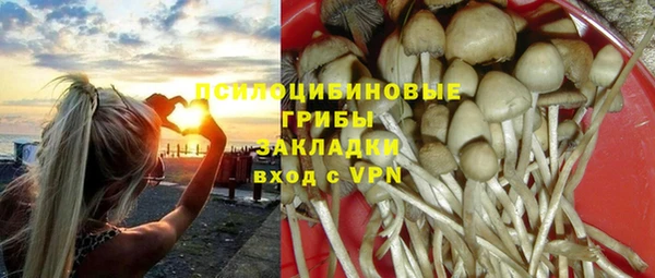 сатива Абинск