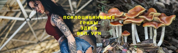 герыч Абаза