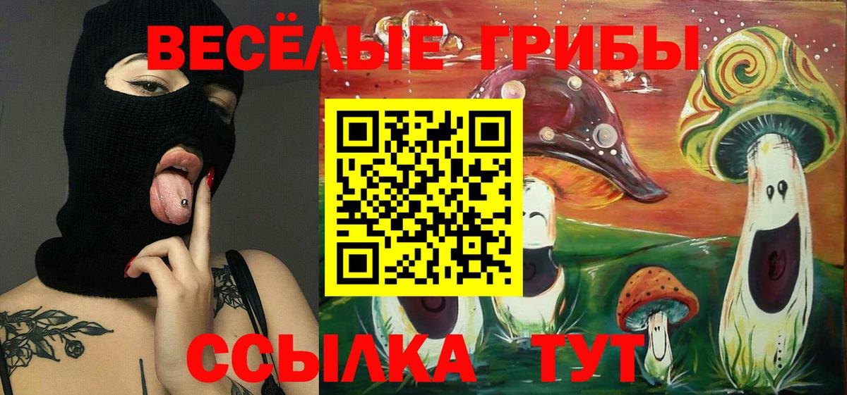 Галлюциногенные грибы Cubensis Тюмень